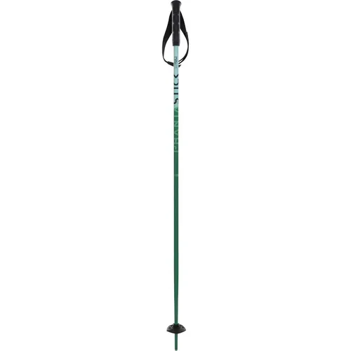 Völkl Phantastick JR Poles green 105