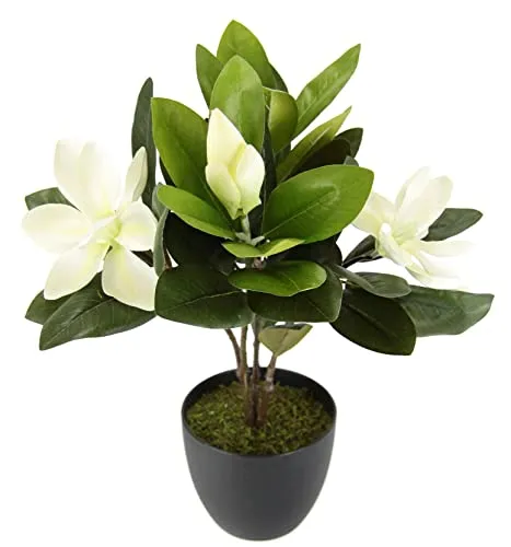 I.GE.A. Kunstpflanze Magnolie, 45 cm im Topf - Kunstblume mit immerblühenden weißen Blüten, pflegeleicht und langlebig. Ideal für Innenräume und geschützte Außenbereiche, bringt frischen Glanz in Ihr Zuhause oder Büro.