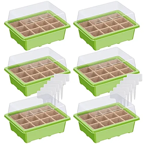 WELLGRO Mini Gewächshaus inkl. 6 Pflanzschilder - für bis zu 12 Pflanzen - ca. 19x14,5x11cm je Zimmergewächshaus, Kunststoff/Zellulose - Menge wählbar, Stückzahl:6 Stück