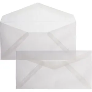 Blanke Briefumschläge weiß/transparent, DIN lang, ohne Fenster, nassklebend, 90g/m², 100 Stück