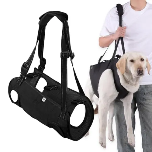 Hunde Tragehilfe M – Verstellbare Gehhilfe für Hunde