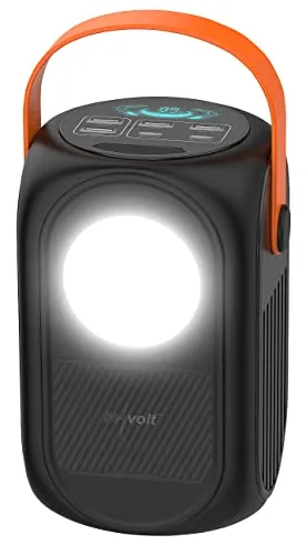 revolt Powerbank 12Volt: Powerbank 60.000 mAh, 2X USB-C mit PD 65 W, 4X USB-A, LED-Licht, Griff (mit Schnellladefunktion, Typ C, 12V Batterie)