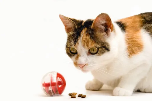 beeztees Snackball Twirly für Katzen - Katzenspielzeug Ball 5,5cm