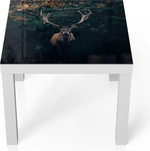 DEQORI Couchtisch 55x55 cm Weiß 'Elch im Teutoburger Wald' Glas Beistelltisch