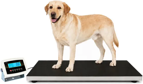 Hundewaage 300kg – Veterinärwaage für Tierarztpraxis