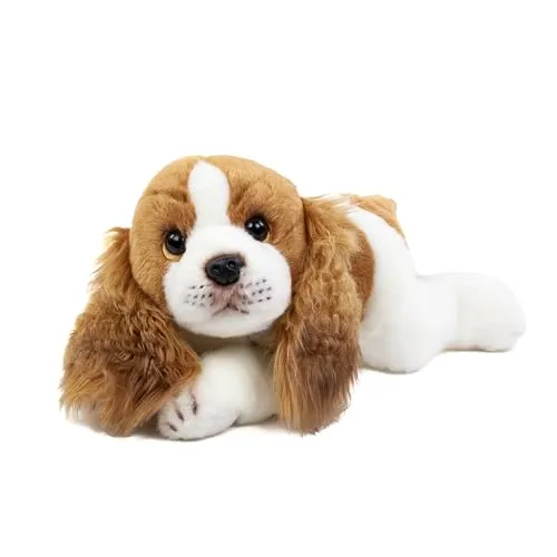 Teddys Rothenburg Kuscheltier Hund Cavalier 30 cm - Stofftier Hund aus kuschelweichem Plüsch, maschinenwaschbar bis 30°C – ideal zum Kuscheln und Spielen für Kinder.