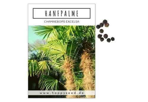 HappySeed Blumensamen Hanfpalme Samen - Chamaerops excelsa, Blumen
