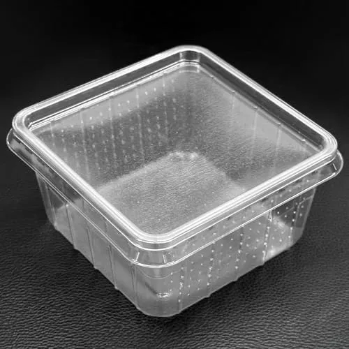 M&S Reptilien Heimchendose