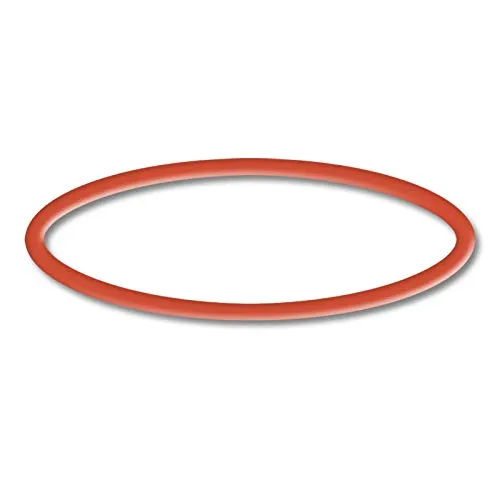 SunSun Ersatzteil für Schwimmbadpumpe O-Ring 2, leistungsstarke Poolfilteranlage, Filterpumpe mit hoher Förderleistung, robuste Pool Pumpe