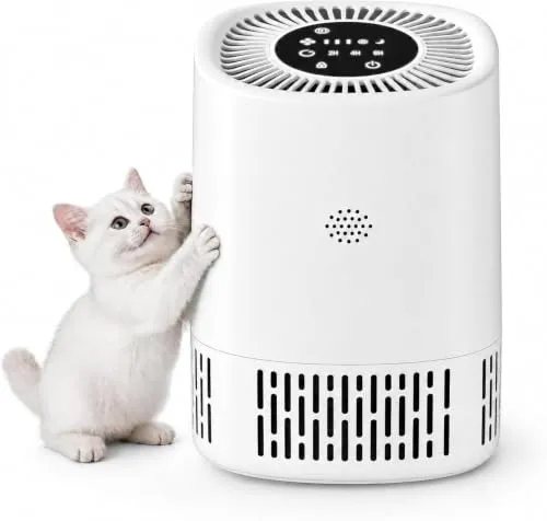 Luftreiniger mit 3-in-1 HEPA Filter für Allergiker