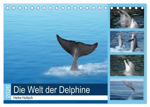 Heike Hultsch | Die Welt der Delphine (Tischkalender 2026 DIN A5 quer),...