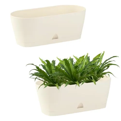 Engelland - 2 x Blumenkasten mit Untersetzer, Beige, Balkonkasten, Pflanztopf, 25 cm, Tischdeko, für Garten, Terrasse, Fensterbank, mit Wasserauffangschale, Innen- & Außenbereich, 1,7 Liter