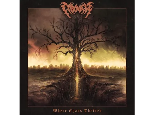 Chronicle - WHERE CHAOS THRIVES  - (Vinyl)