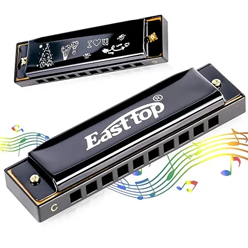 East top 10-Loch Happy Mundharmonika Tonart C Mundorgan Blues Mundharmonika für Erwachsene, Kinder, Anfänger, Profis und Studenten (schwarz), als Geschenk