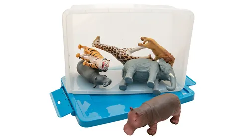 Betzold Wilde-Tiere-Set, 6-tlg., Box zur Aufbewahrung: Ja