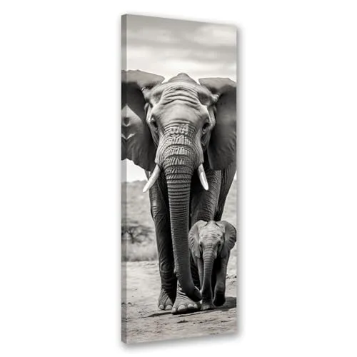 Feeby Bilder Afrika Elefant 30x90 cm 1 tlg Modern Leinwandbilder Bild auf Leinwand Kunstdruck Wand Bild Wanddeko Design Schlafzimmer Büro Flur Hotel Spa Wohnzimmer Natur Tier Straße schwarz-weiß