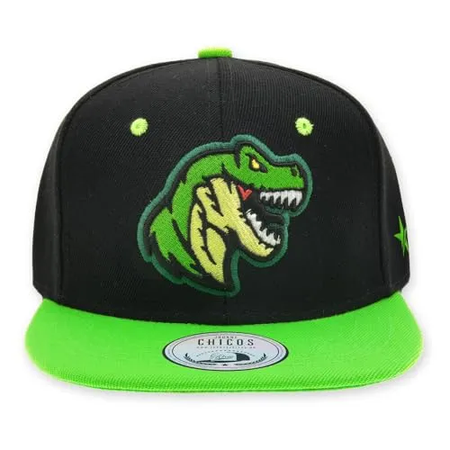 JOHNNY CHICOS Sorry I'm Fresh süße Kindercap Kinder Cap Snapback 49-56cm Kopfumfang (JC-T-REX)
