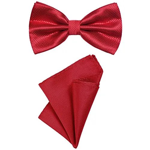 DonDon 2er Set Herren Fliege und Einstecktuch farblich passend gebunden und größenverstellbar rot