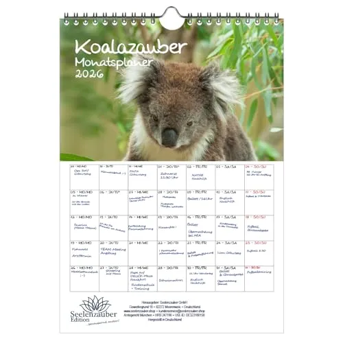 Koalazauber Planer DIN A4 Kalender für 2026 Koalabären, Koala - Seelenzauber