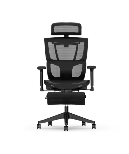 Flexispot Vielseitig verstellbarer ergonomischer Stuhl mit geteilter Lordosenstütze