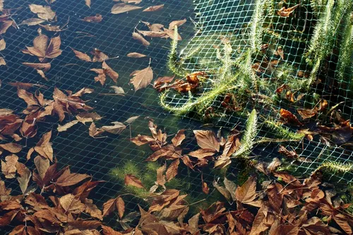 Teichnetz Laubschutznetz Reihernetz Silonetz Laubnetz Vogelschutznetz