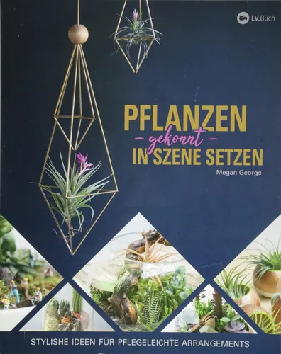 Pflanzen gekonnt in Szene setzen: Stylishe Ideen für pflegeleichte (Taschenbuch)