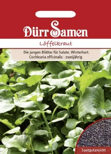 Lavendel Samen Lavendelsamen ca 100 Korn Heilkräuter Kräutersamen Heilpflanze Saatgut Balkon Garten Hochbeet Kübel Dürr Samen