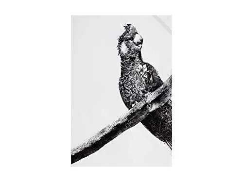 Geschirrtücher Schwarz von Maxwell & Williams