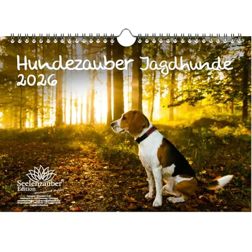 Hundezauber Jagdhunde DIN A4 Kalender für 2026 Welpen und Hunde - Seelenzauber