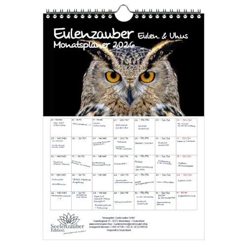 Eulenzauber Eulen und Uhus Planer DIN A4 Kalender für 2026 - Seelenzauber