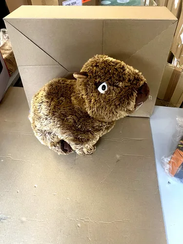 NICI Kuscheltier Capybara Capy-Barbara, 27 cm sitzend