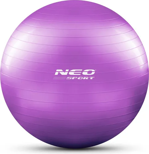 Neo-Sport Gymnastikball 65 cm NS-951 lila