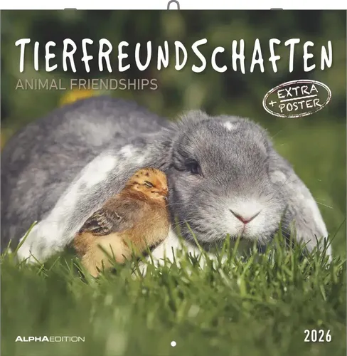 Tierfreundschaften 2026 - Broschürenkalender 30x30 cm - Hochwertiger Bildkalender mit herzergreifenden Tierfreundschaften, inkl. viel Platz für Notizen und einem herausnehmbaren Poster. Ideal für Tierliebhaber und als dekorativer Wandschmuck.