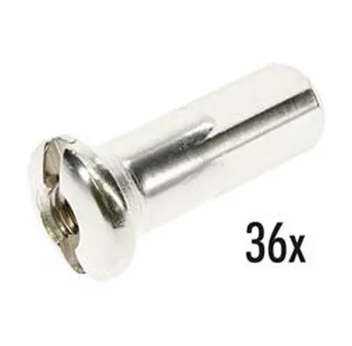 Set: 36x Speichennippel M3,5 + 3 mm, vernickelt - für verstärktes Felgenbett