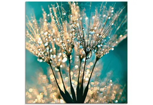 ARTLAND Wanddeko Glasbilder Wandbild Glas Bild einteilig 40 x 40 cm Quadratisch Innere Ruhe Wellness Pflanzen Blumen Pusteblume Wasser Regen Tau Abstrakt S8TE