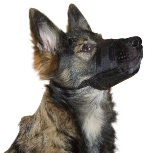 Kerbl Pet Nylon Maulkorb XL, schwarz 20 - 26 cm / 9,5 cm