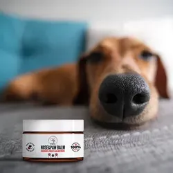 PET Nose & Paw Balm  Nasen- und Pfotenbalsam 75 ml – 100 % natürliche Zusammensetzung