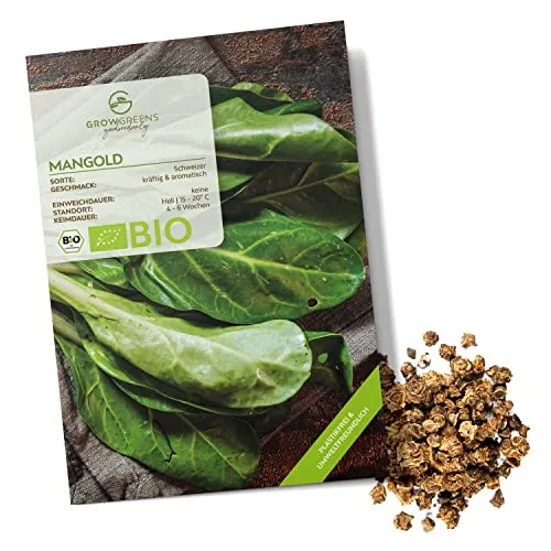 BIO Mangold Samen (Schweizer, 75 Korn) - Mangold Saatgut aus biologischem Anbau ideal für die Anzucht im Garten, Balkon oder Terrasse