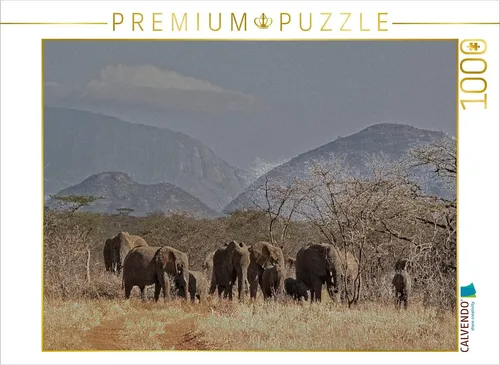 CALVENDO Puzzle Wildlife pur: Elefantenherde 1000 Teile
