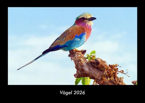 Vögel 2026 Fotokalender DIN A3 - Kalender mit beeindruckenden Vogelmotiven im DIN A3 Format, gedruckt auf hochwertigem Premium-Kalenderpapier für eine erstklassige Optik.