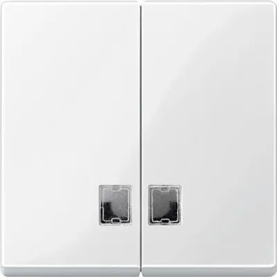 Merten 438519 Wippe für Serienschalter mit Symbolfenster, System M, Polarweiß glänzend