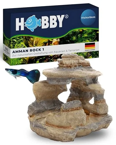 Hobby Amman Rock 1 von Hobby