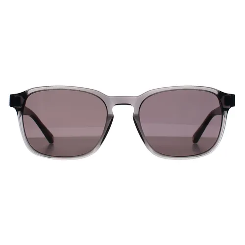 Ted Baker TB8246 Ollie 968 rauchgrau graue Sonnenbrille von Ted Baker