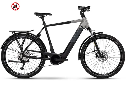 Green ́s Richmond F625N High E-Bike