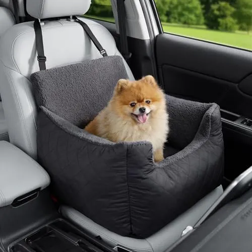 Lesure Hundesitz Auto Kleine Hunde