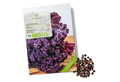 Growgreens Gemüsesamen BIO Grünkohl Samen (Redbor) -Grünkohl Saatgut aus bio. Anbau (25 Korn), Gemüse