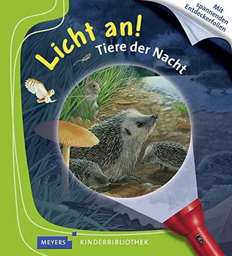 Tiere der Nacht: Licht an! (Licht an! Die Reihe mit der magischen Taschenlampe, Band 5)