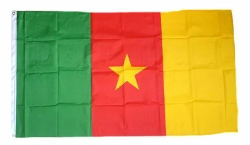 Flagge / Fahne Kamerun Hissflagge 90 x 150 cm in gelb von FahnenMax®