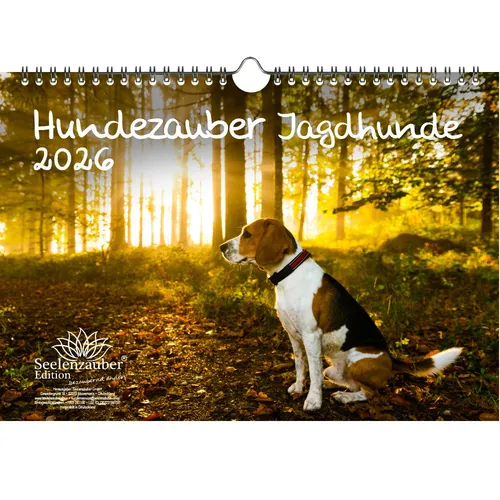 Hundezauber Jagdhunde DIN A4 Kalender für 2026 Welpen und Hunde - Seelenzauber
