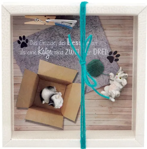 ZauberDeko Geschenkbox Geldgeschenk Katzen Zuschuss Geld Haustier Gutschein Geburtstag